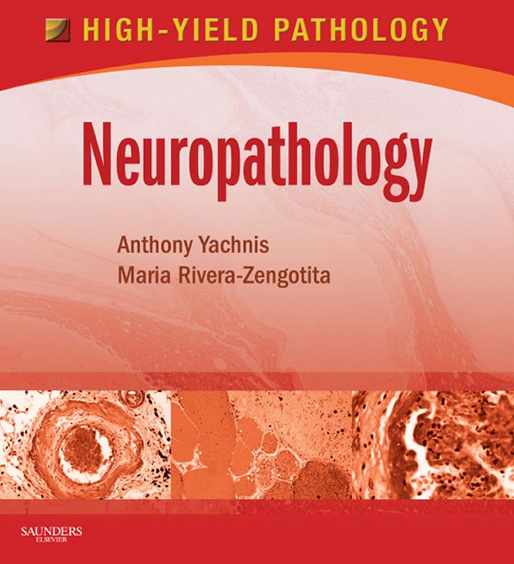 Neuropathology E-Book: A Volume in the High Yield Pathology Series
