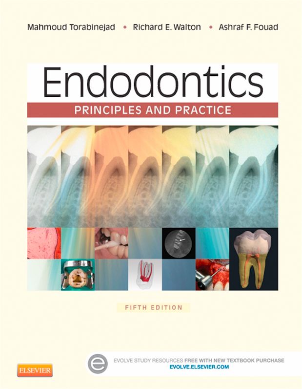 Endodontics - E-Book: Principles and Practice