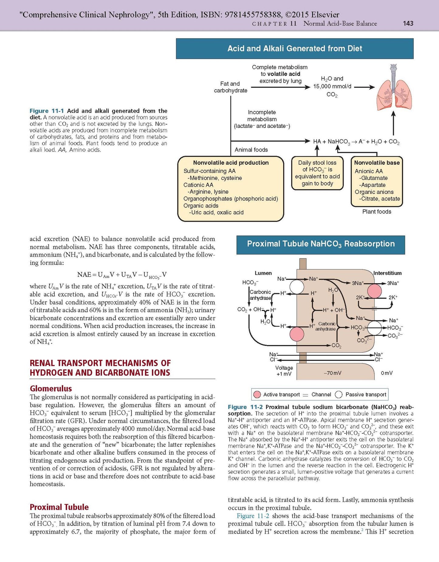 Comprehensive Clinical Nephrology
