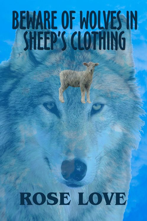 Beware of Wolves in Sheep's Clothing