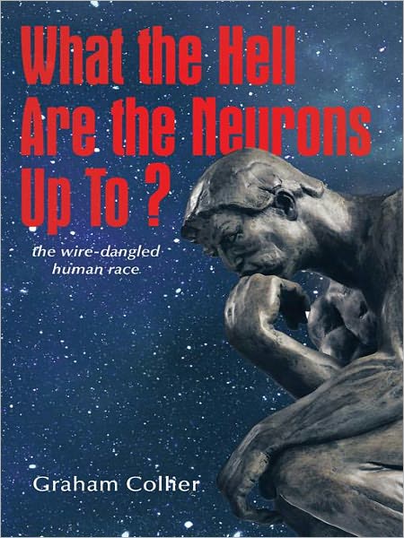 What the Hell are the Neurons Up To?: The Wire-Dangled Human Race