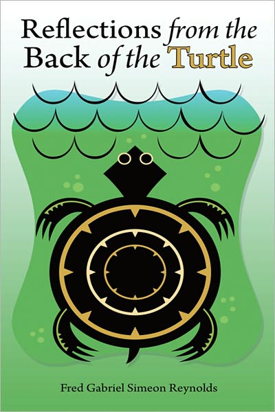 Reflections from the Back of the Turtle