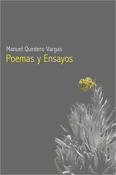 POEMAS Y ENSAYOS