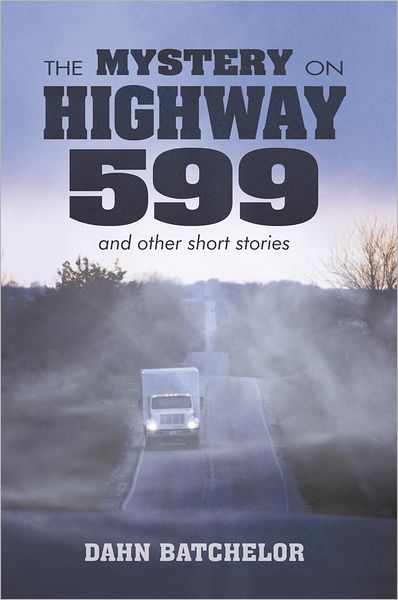 THE MYSTERY ON HIGHWAY 599 and other short stories
