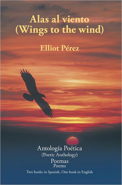 Alas al viento (Wings to the wind)