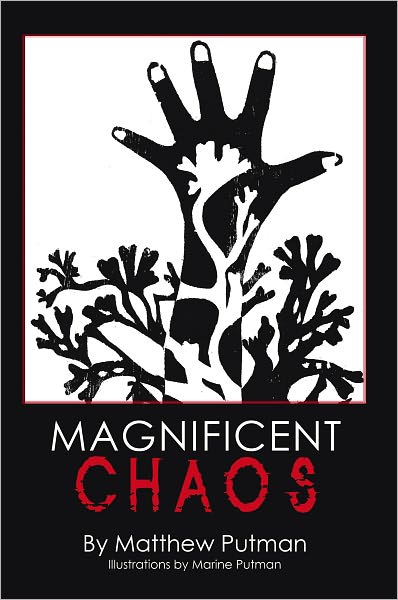 Magnificent Chaos