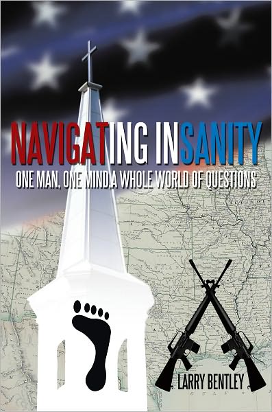 Navigating Insanity: One Man, One Mind, a Whole World of Questions