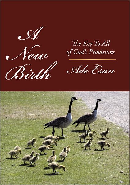 A New Birth: The Key To All of God's Provisions