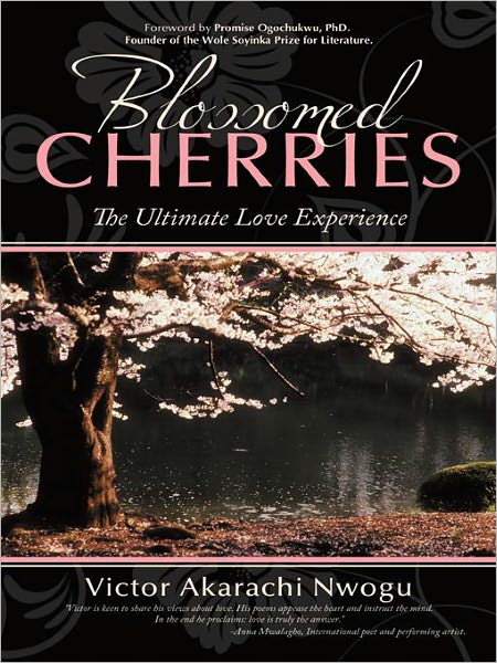 Blossomed Cherries: The Ultimate Love Experience