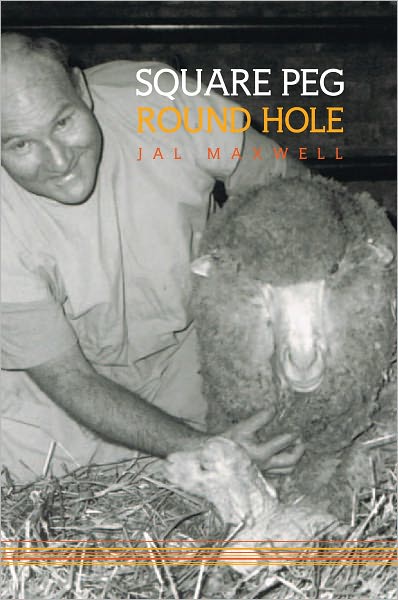 Square peg - round hole
