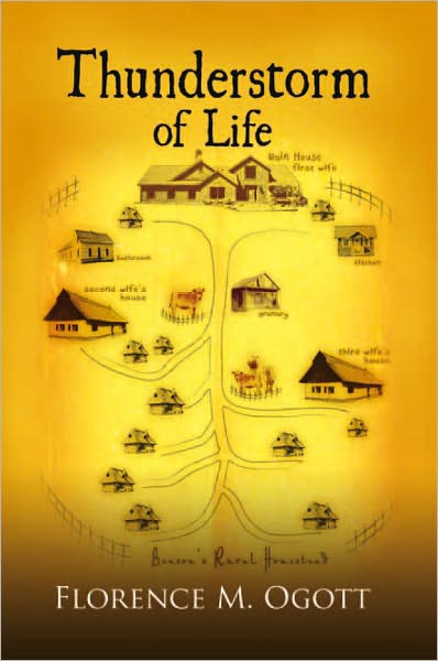 Thunderstorm of Life