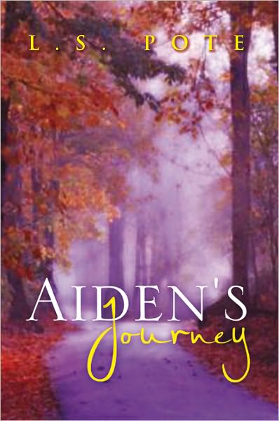 Aiden's Journey