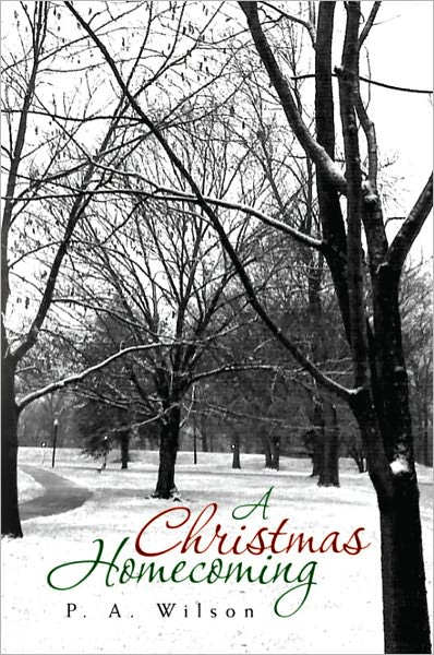 A Christmas Homecoming