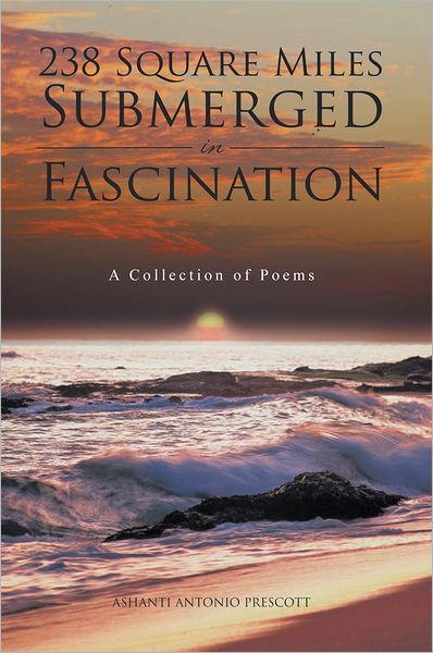 238 Square Miles Submerged in Fascination: A Collection of Poems