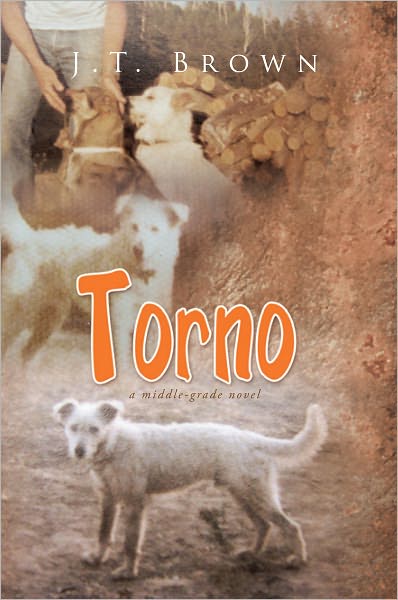 Torno: a middle-grade novel