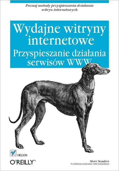 Wydajne witryny internetowe. Przyspieszanie dzia?ania serwisów WWW