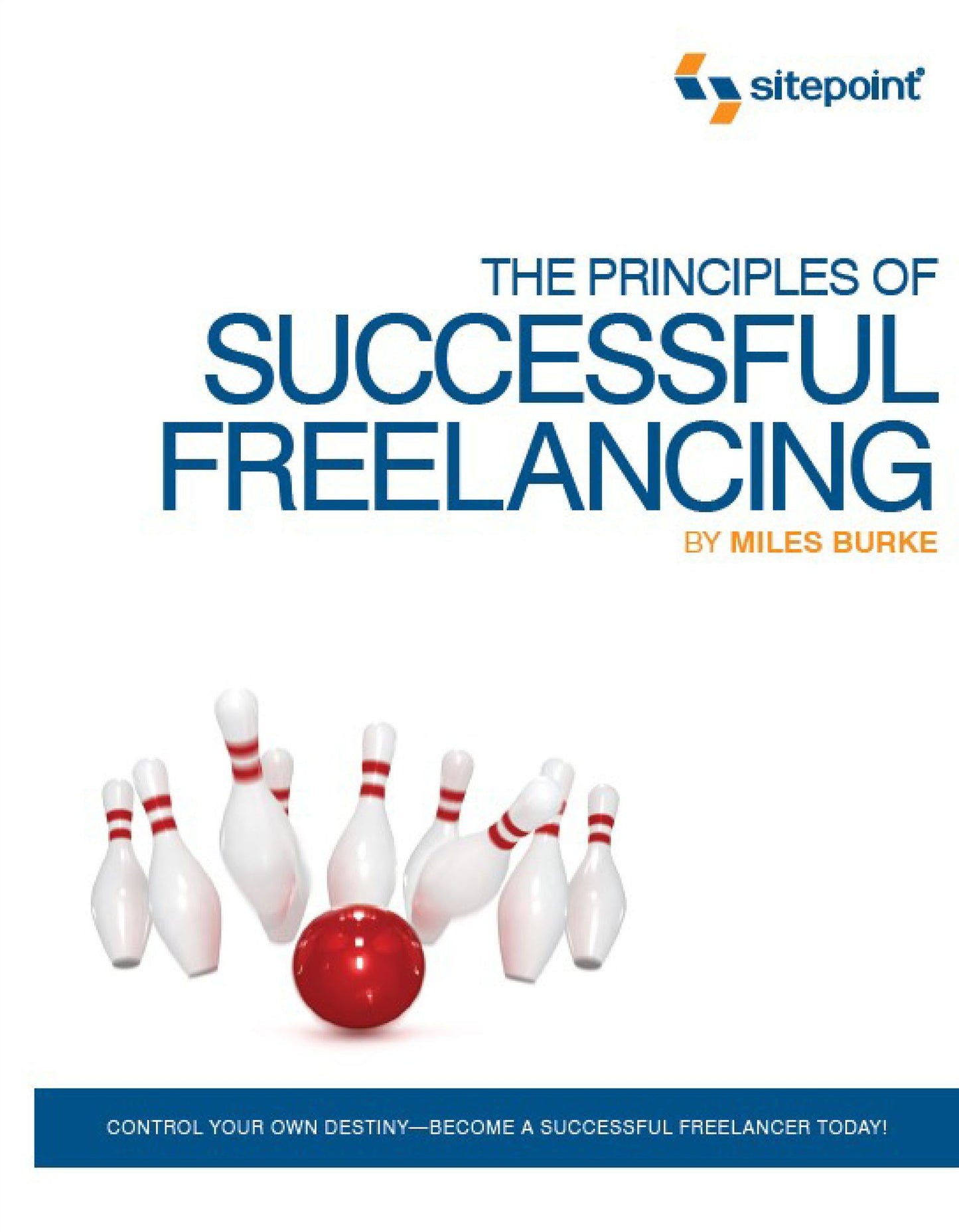The Principles of Successful Freelancing: Control Your Destiny - Become a Successful Freelancer Today!