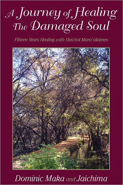 A Journey of Healing the Damaged Soul: 15 Years Healing with Huichol Mara'akames