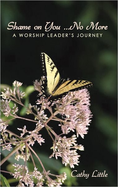 Shame on You ... No More: A Worship Leader's Journey