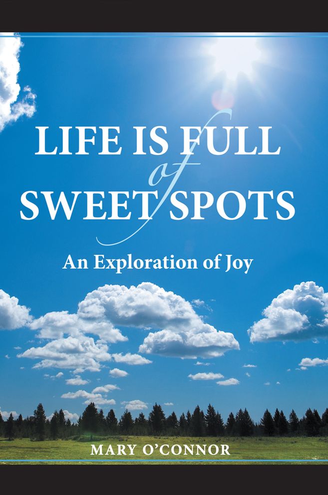 Life Is Full of Sweet Spots: An Exploration of Joy