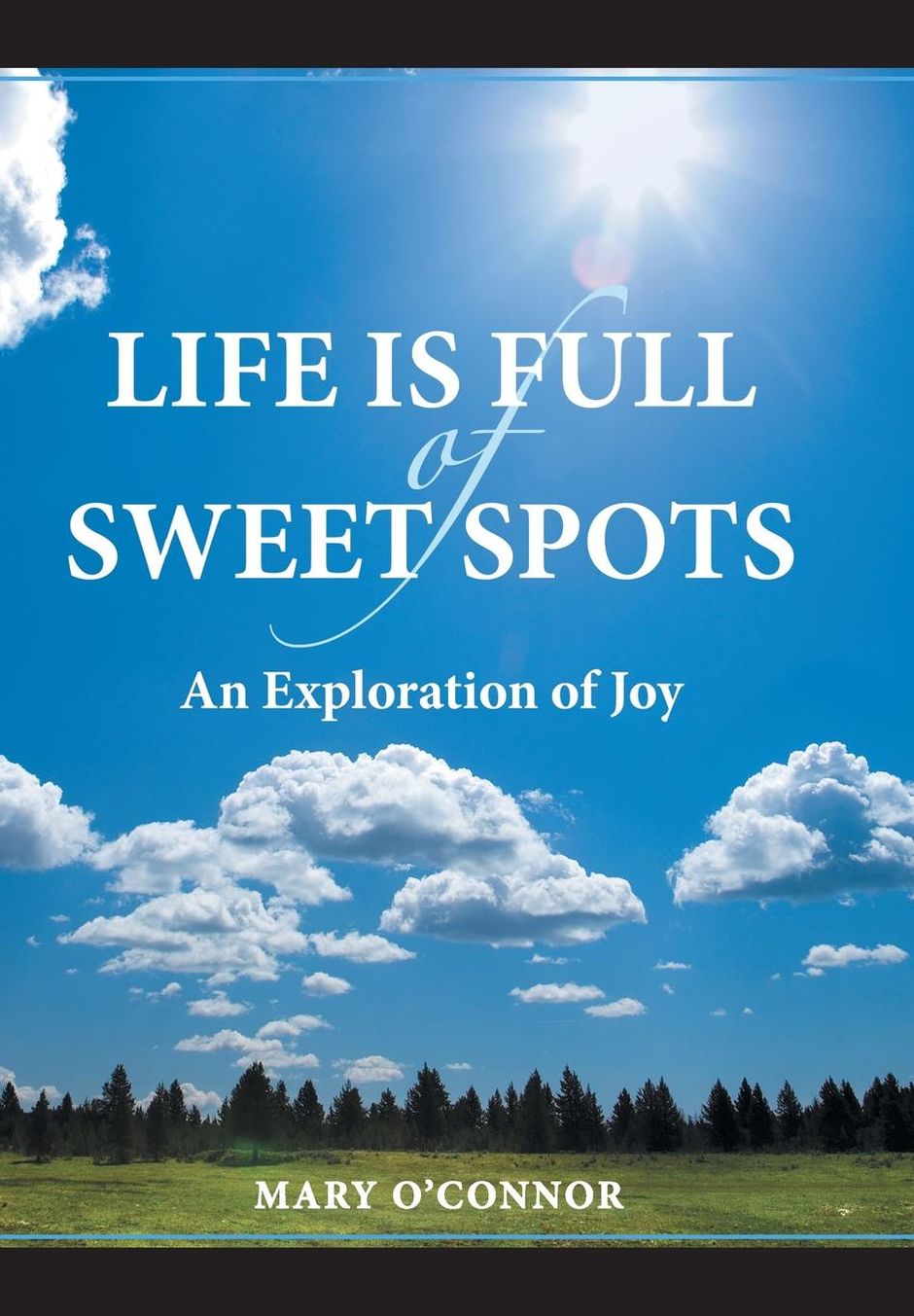 Life Is Full of Sweet Spots: An Exploration of Joy