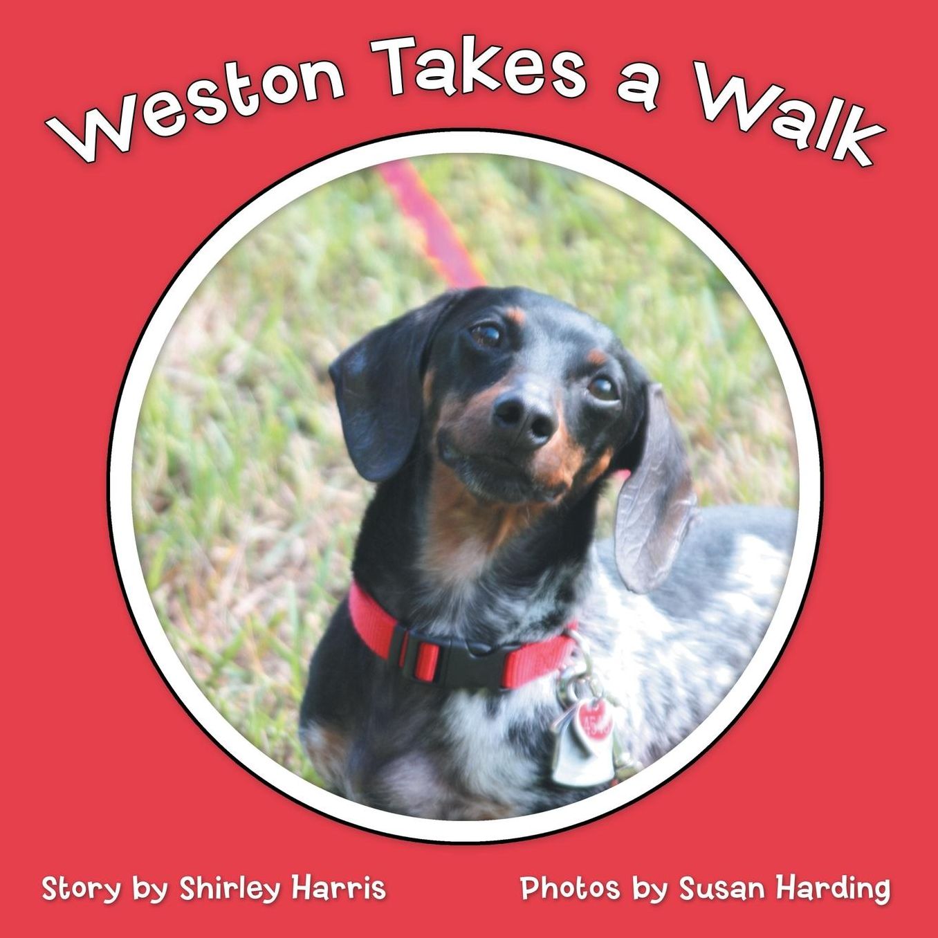 Weston Takes a Walk