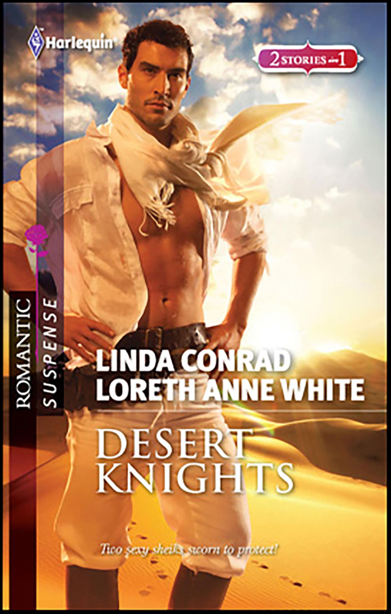 Desert Knights: Bodyguard SheikSheik's Captive (Harlequin Romantic Suspense #1661)