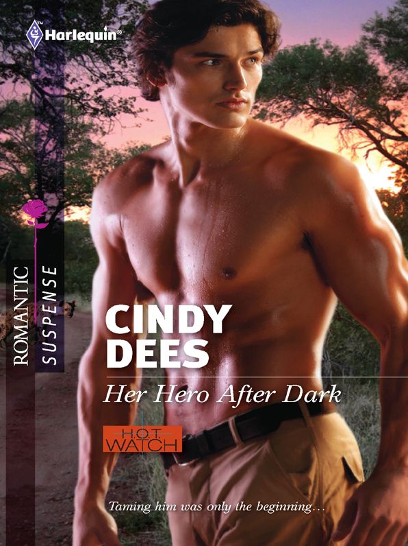 Her Hero After Dark (Harlequin Romantic Suspense Series #1703)