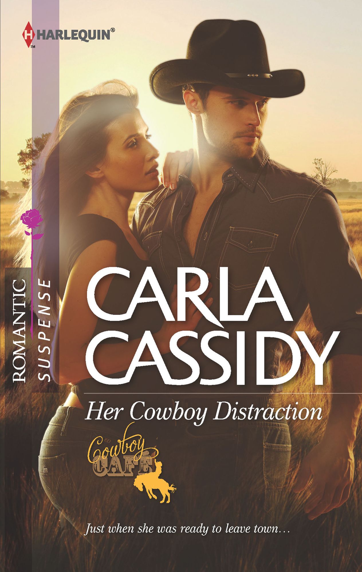 Her Cowboy Distraction (Harlequin Romantic Suspense Series #1711)