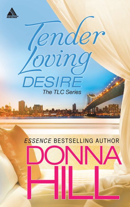 Tender Loving Desire: Sex and Lies / Seduction and Lies (Harlequin Kimani Arabesque Series)