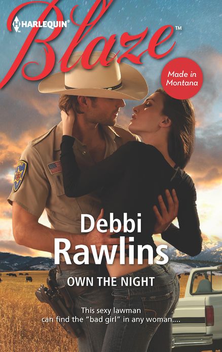 Own the Night (Harlequin Blaze Series #713)