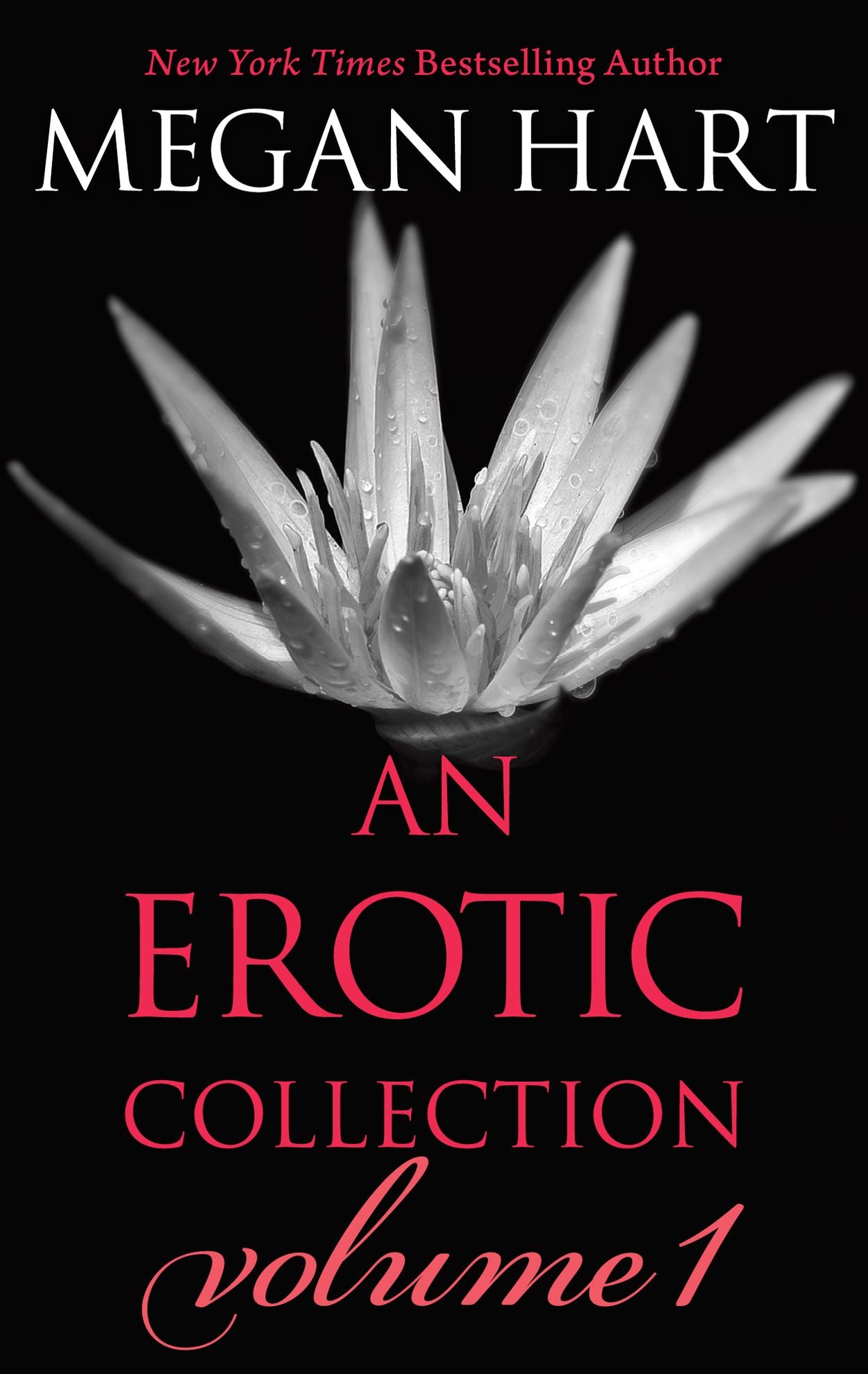 Megan Hart: An Erotic Collection Volume 1: This is What I WantIndecent ExperimentEverything ChangesLayover