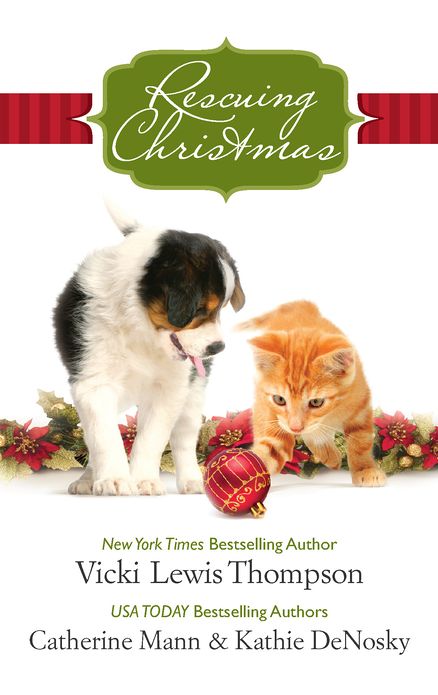Rescuing Christmas: Holiday HavenHome for ChristmasA Puppy for Will