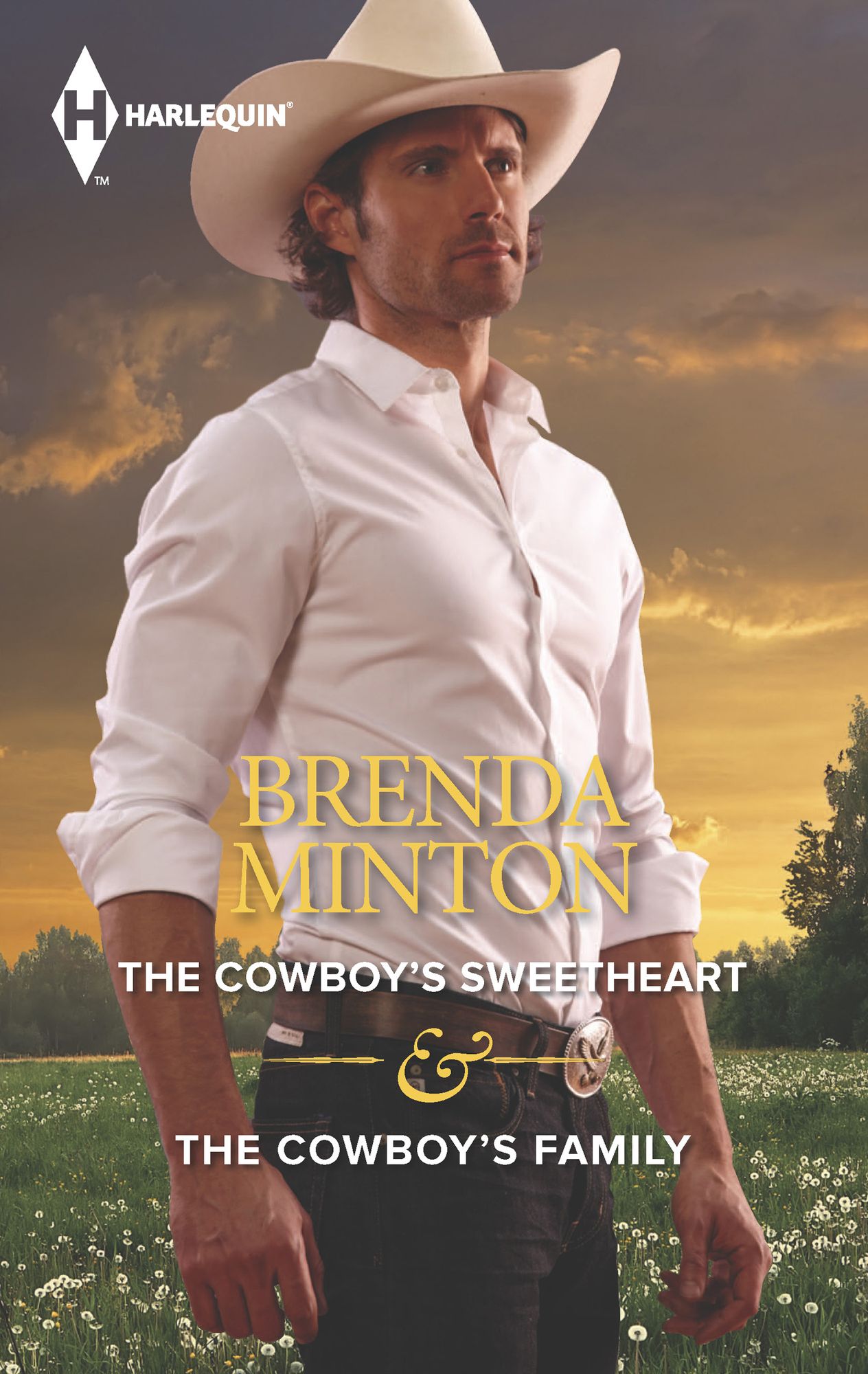 The Cowboy's Sweetheart & The Cowboy's Family