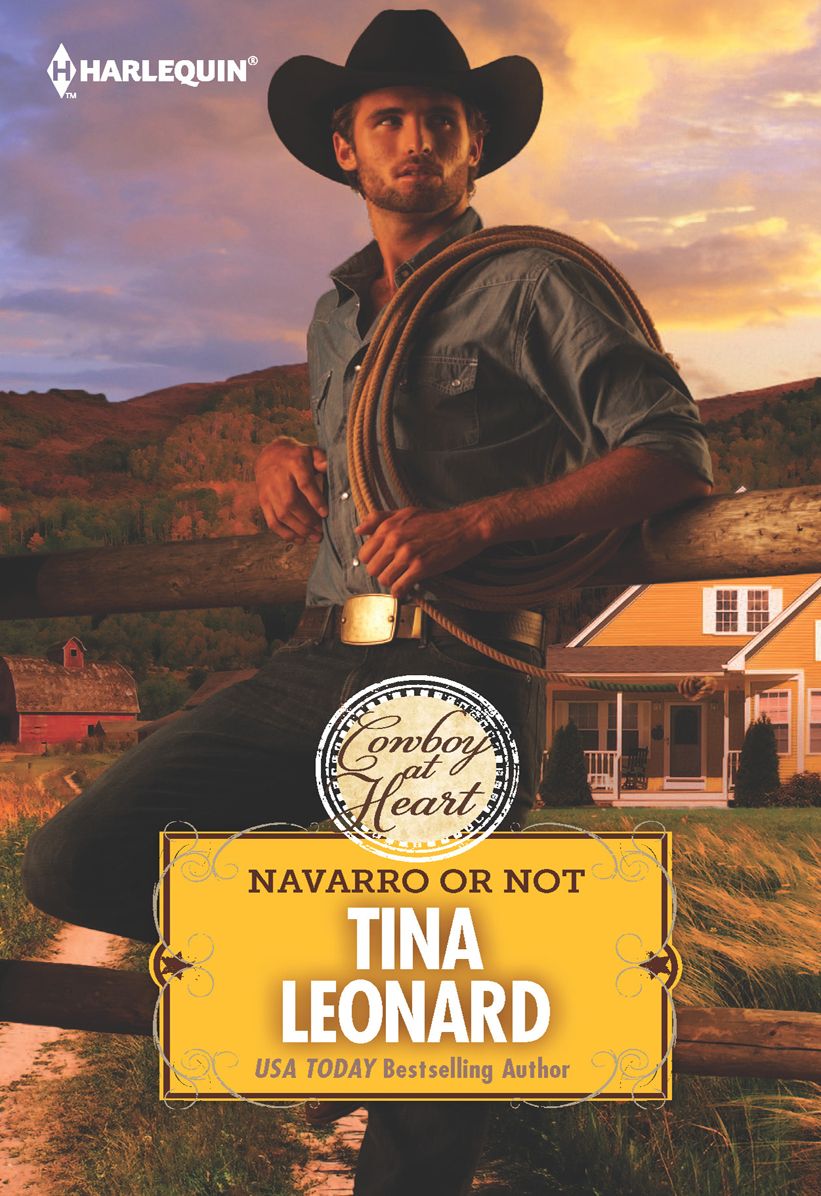 Navarro or Not: (Cowboy's by the Dozen Series #6)