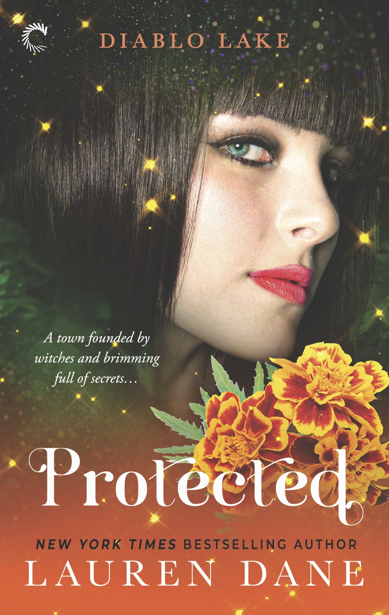 Diablo Lake: Protected (Diablo Lake Series #2)
