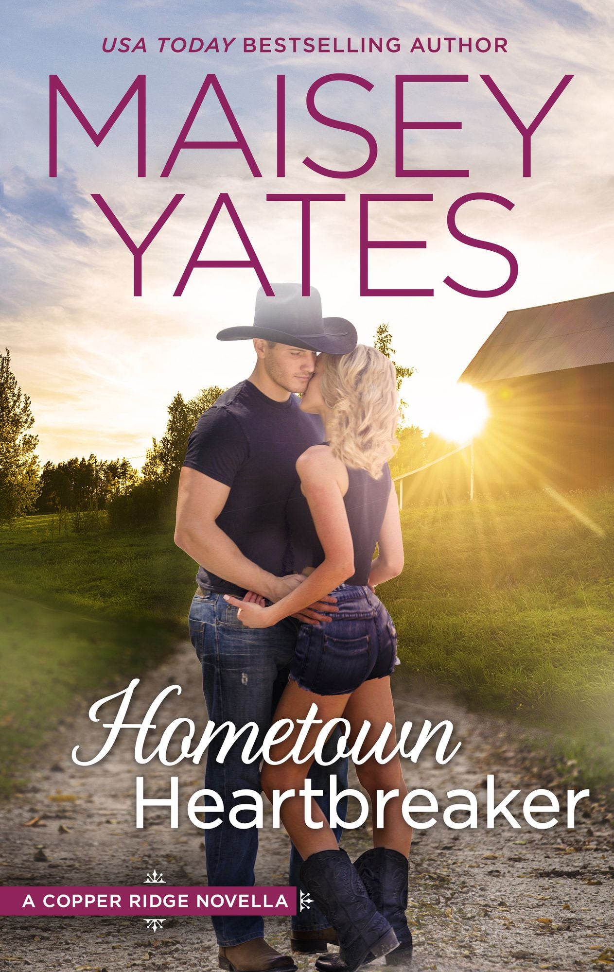 Hometown Heartbreaker (Copper Ridge Series)