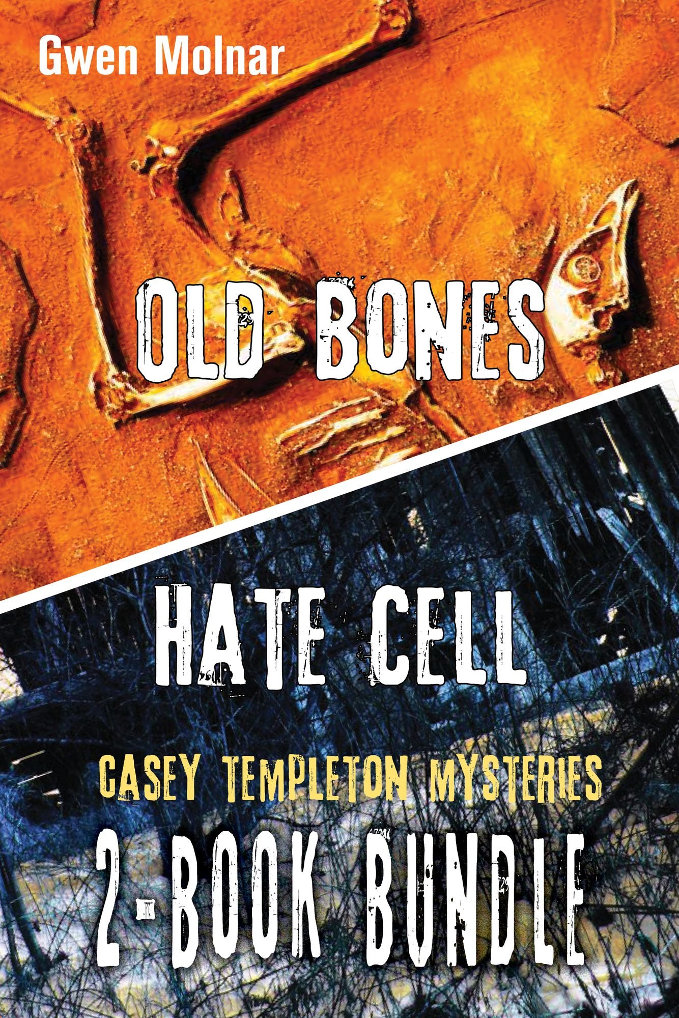 Casey Templeton Mysteries 2-Book Bundle: Hate Cell / Old Bones