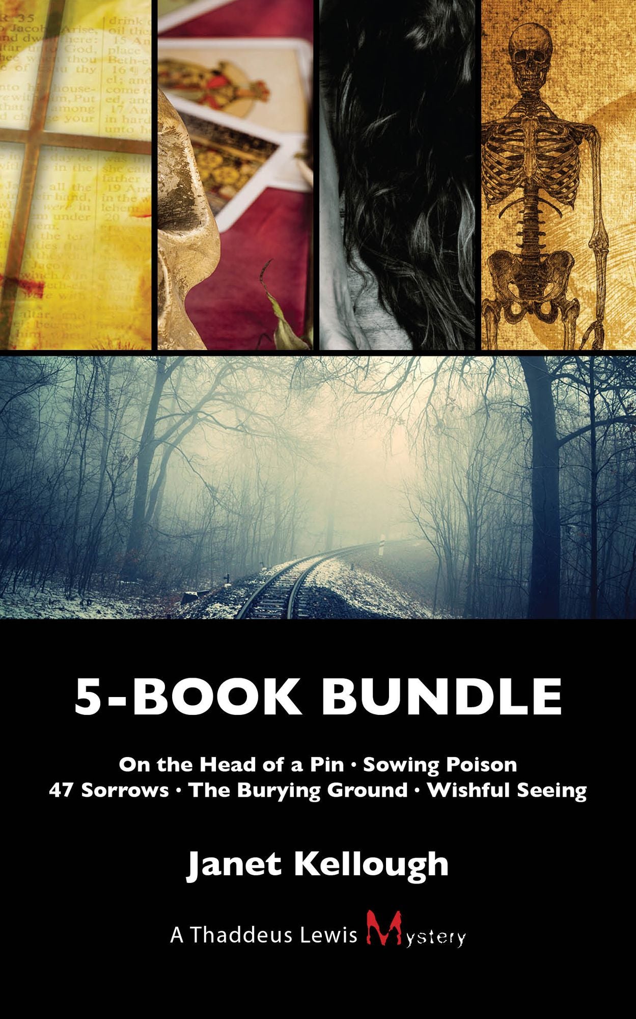 Thaddeus Lewis Mysteries 5-Book Bundle: On the Head of a Pin / Sowing Poison / 47 Sorrows / The Burying Ground / Wishful Seeing