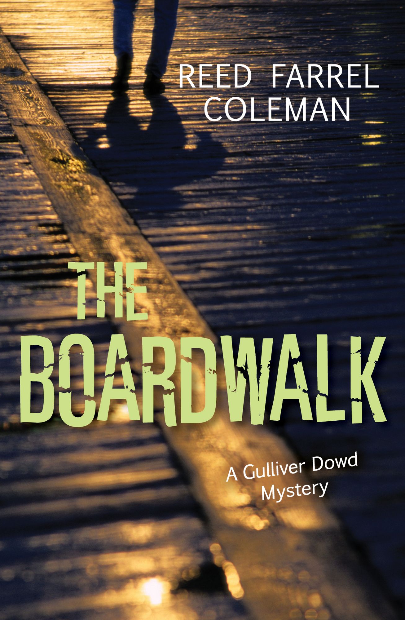 The Boardwalk: A Gulliver Dowd Mystery