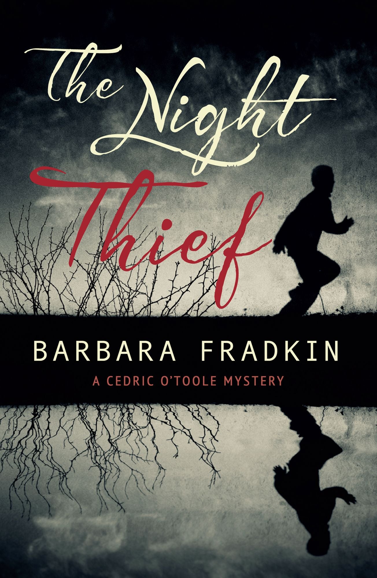 The Night Thief: A Cedric O'Toole Mystery