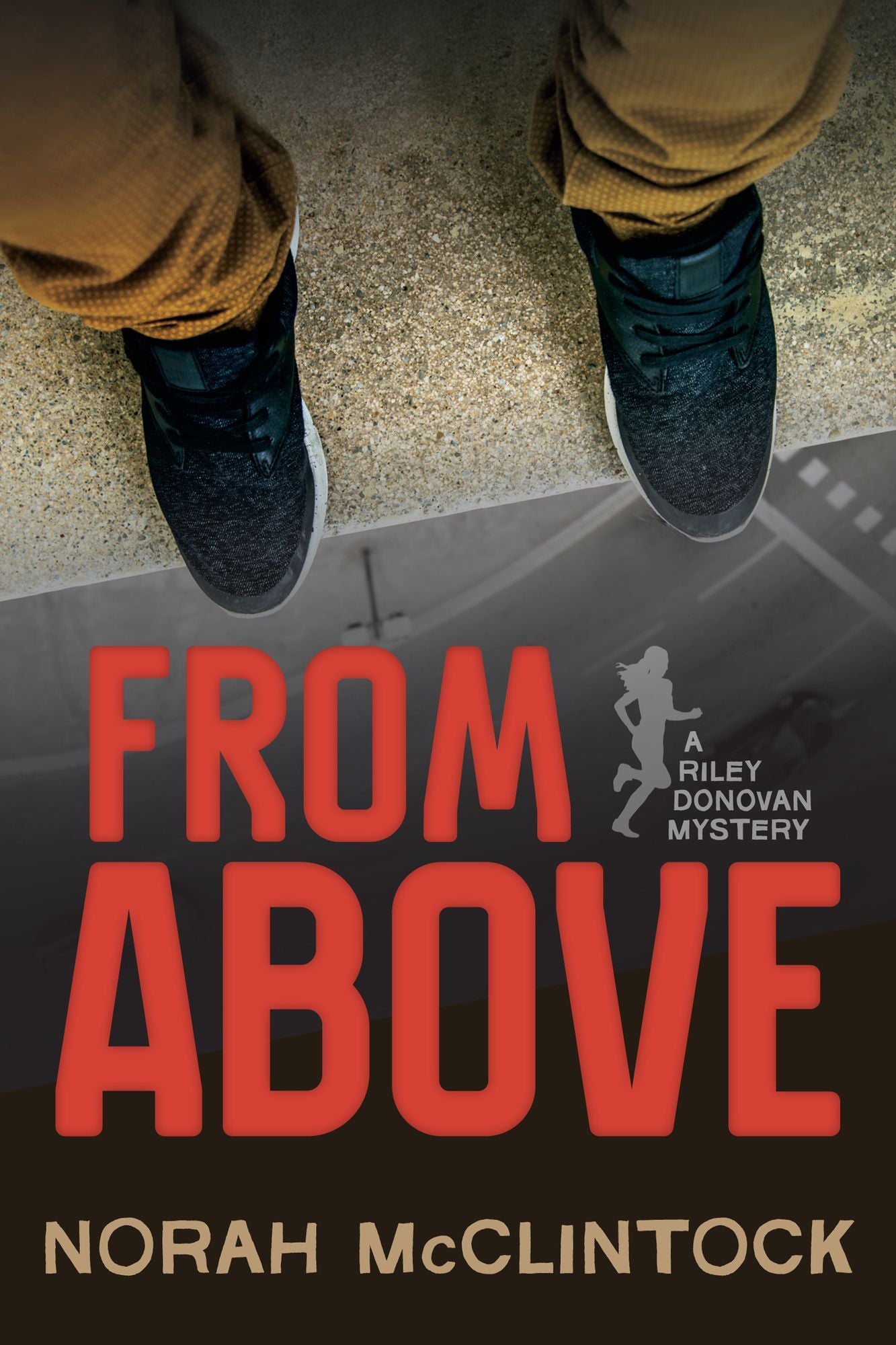 From Above: A Riley Donovan mystery