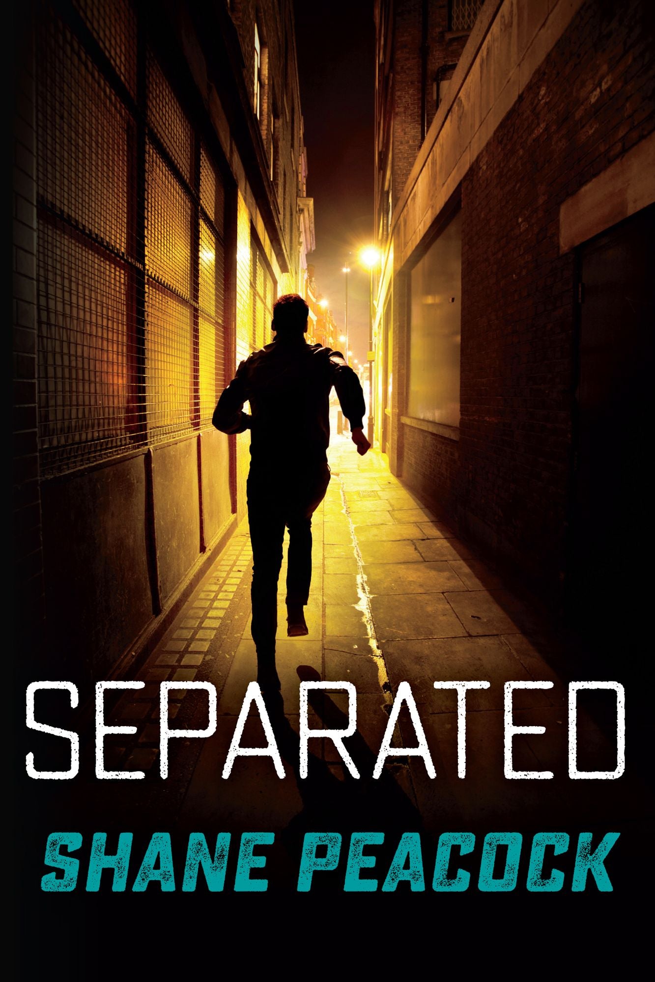 Separated (Seven Prequels Series)