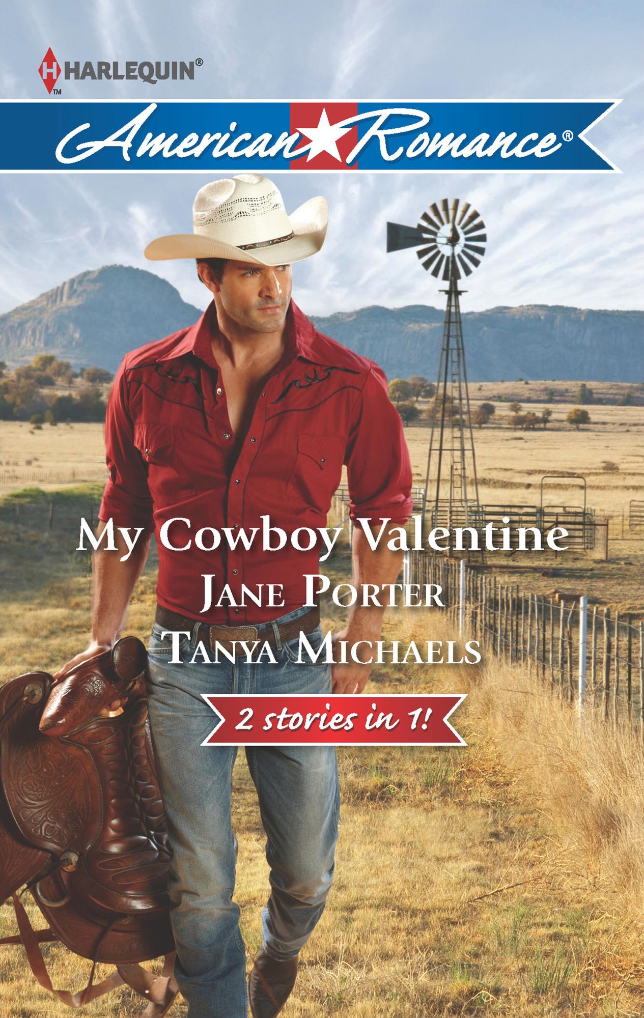 My Cowboy Valentine: Be Mine, CowboyHill Country Cupid