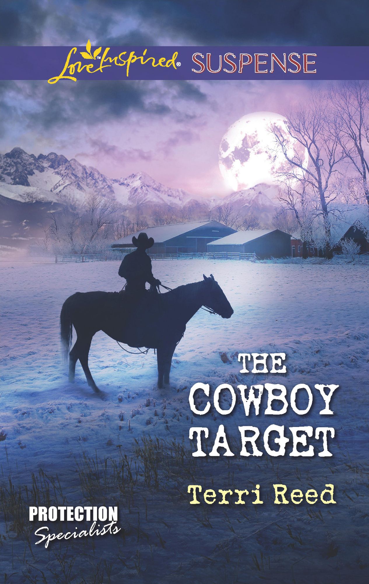 The Cowboy Target: A Single Dad Romance