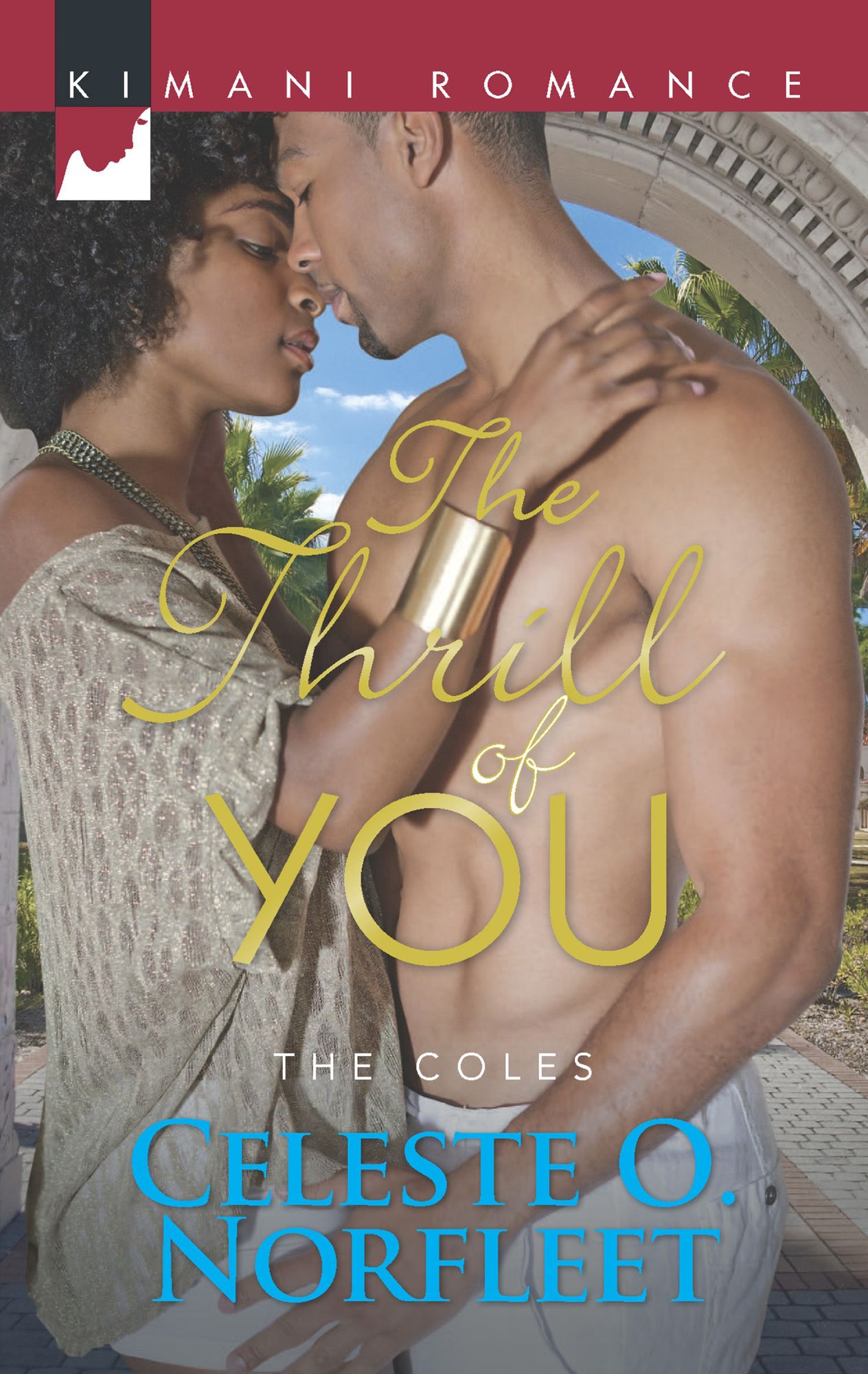 The Thrill of You (Harlequin Kimani Romance Series #343)