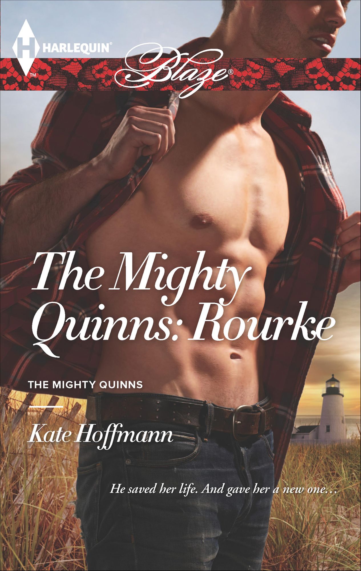 The Mighty Quinns: Rourke (Harlequin Blaze Series #768)