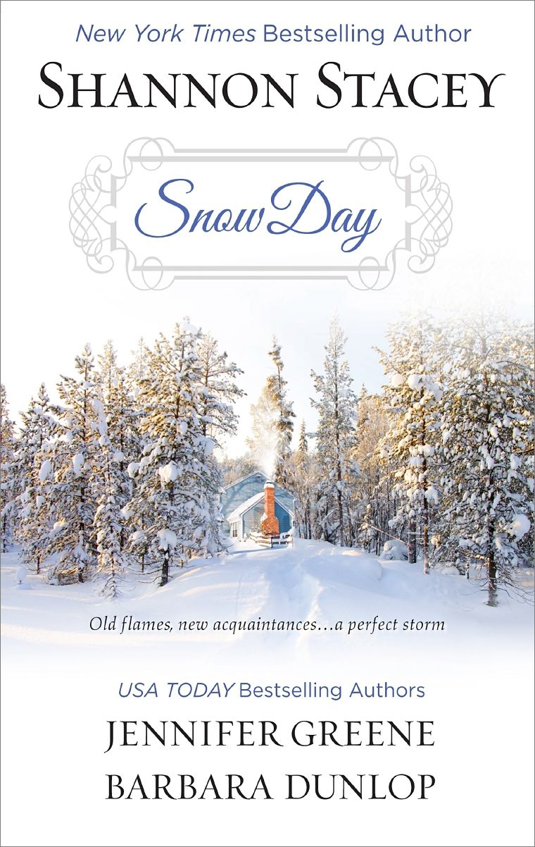 Snow Day: Heart of the StormSeeing RedLand's End