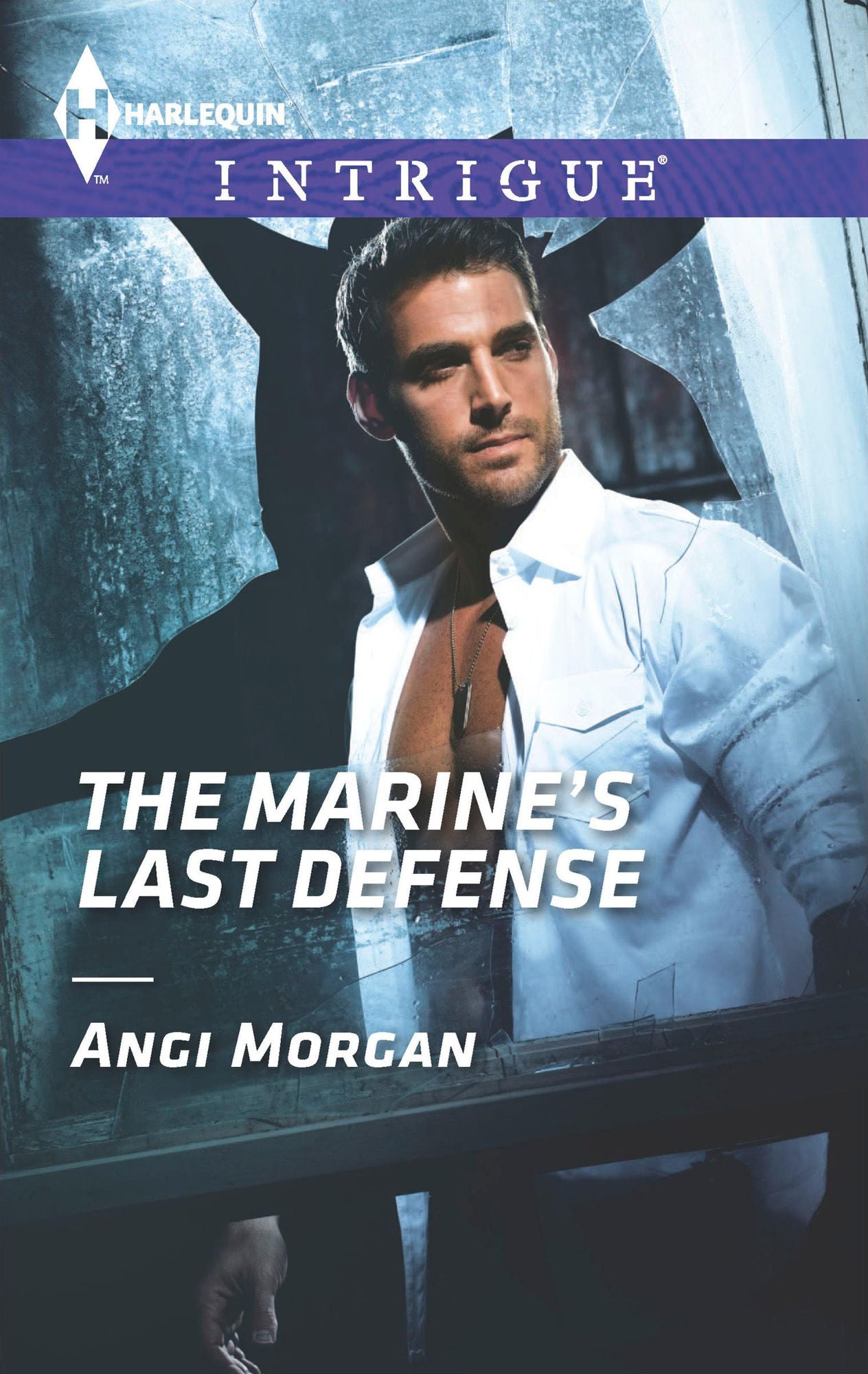 The Marine's Last Defense