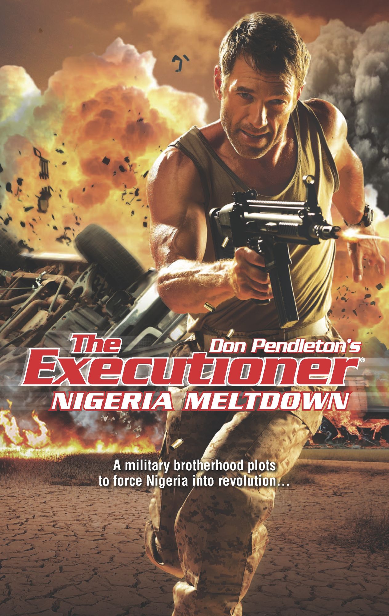 Nigeria Meltdown (Executioner Series #422)
